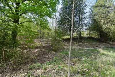 Vacant Land in Stone Mills