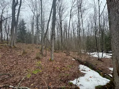 522340036 Pine Grove Road, Parry Sound Remote Area, On P0h 1s0