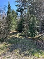 0 Madawaska Road, Hastings Highlands, ON K0L 2S0