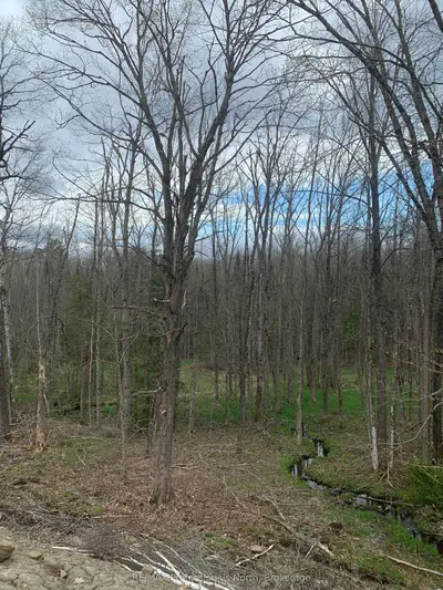 Vacant Land in Minden Hills