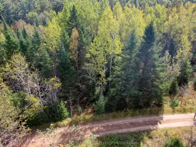 Vacant Land in Bancroft