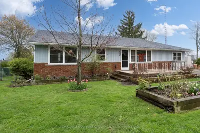 Detached in Loyalist
