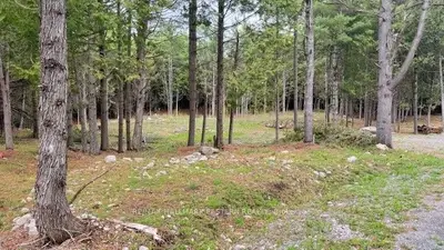 Vacant Land in Douro-Dummer