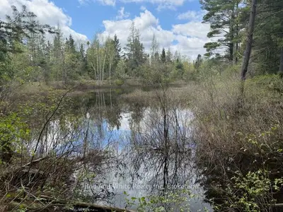 Vacant Land in McMurrich/Monteith