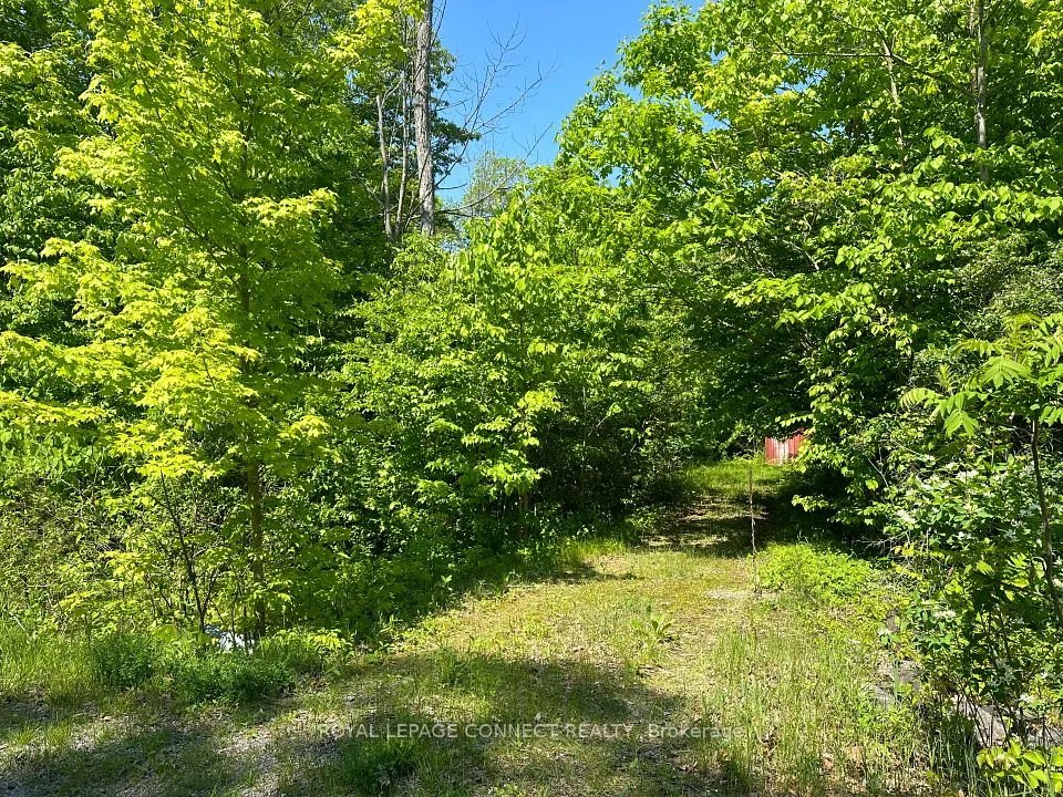 21 Riverside Drive, Trent Hills, ON K0L 1L0
