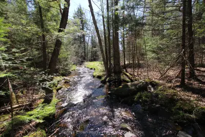 0 534 Hwy Highway, Parry Sound Remote Area, ON P0H 2R0