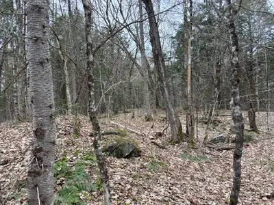 Vacant Land in McDougall