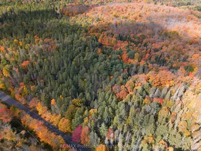 276 Fern Glen Road, Perry, On P0a 1j0