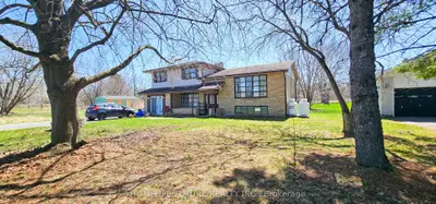 Detached in Belleville