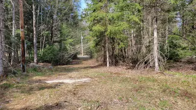 Vacant Land in McMurrich/Monteith