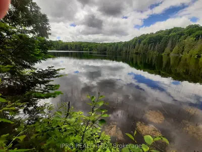 Vacant Land in Bonnechere Valley
