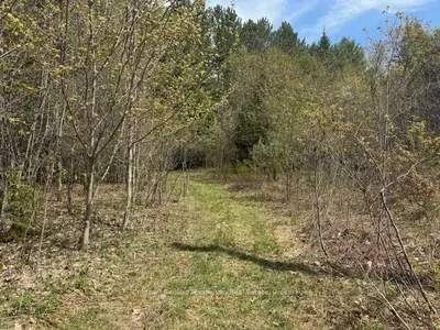 Rural Residential in Ryerson
