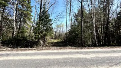 Vacant Land in Highlands East