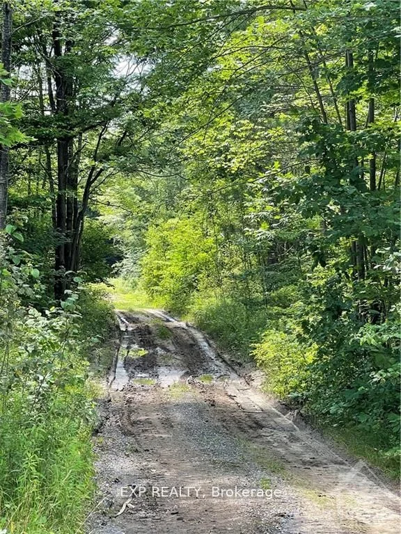 00 B CONCESSION ROAD 4 Road, Alfred and Plantagenet, ON K0B 1L0