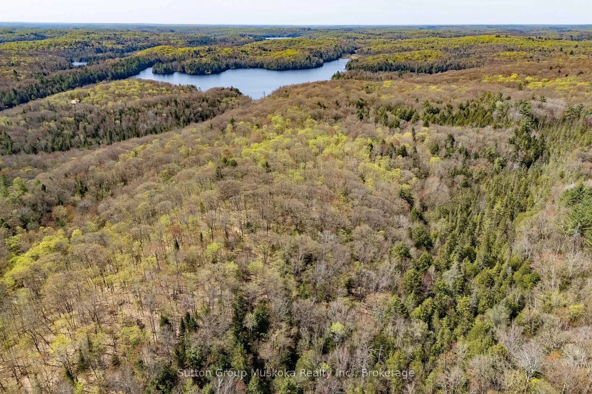 1667 Paint Lake Road, Lake of Bays, ON P0A 1E0