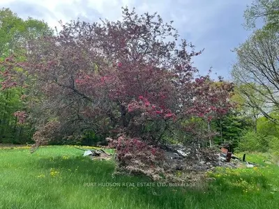 Vacant Land in Athens