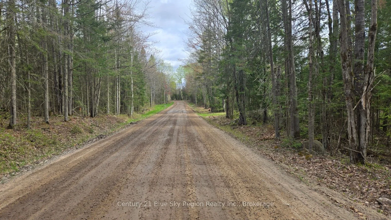 2438 Village Road, Chisholm, ON P0H 1Z0