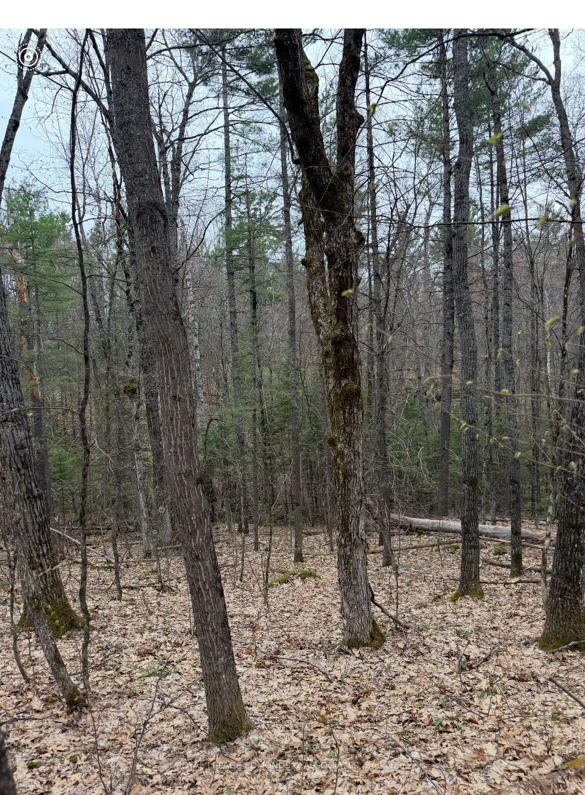 0 Bucholtz Road, Laurentian Valley, On K8a 6w8