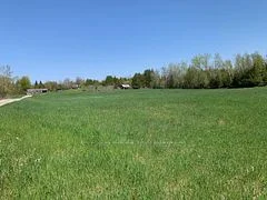 172 Dewey Road, Havelock-Belmont-Methuen, ON K0L 1Z0