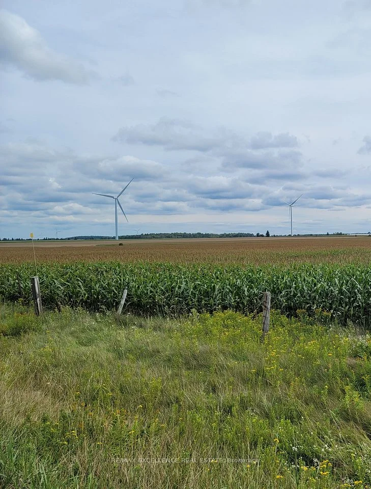 Pt 2 Con 14 N Pt Lot 28 Expressway S, East Luther Grand Valley, ON L0N 1G0