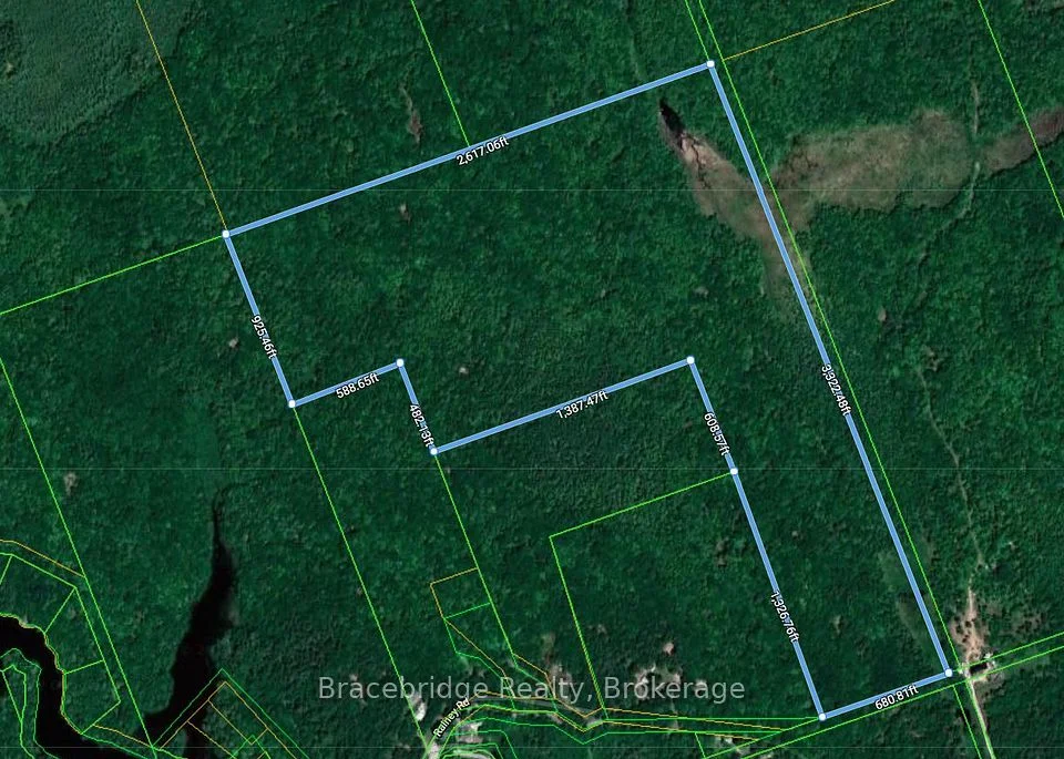 0 RAINEY Road, Bracebridge, ON P1L 1X1