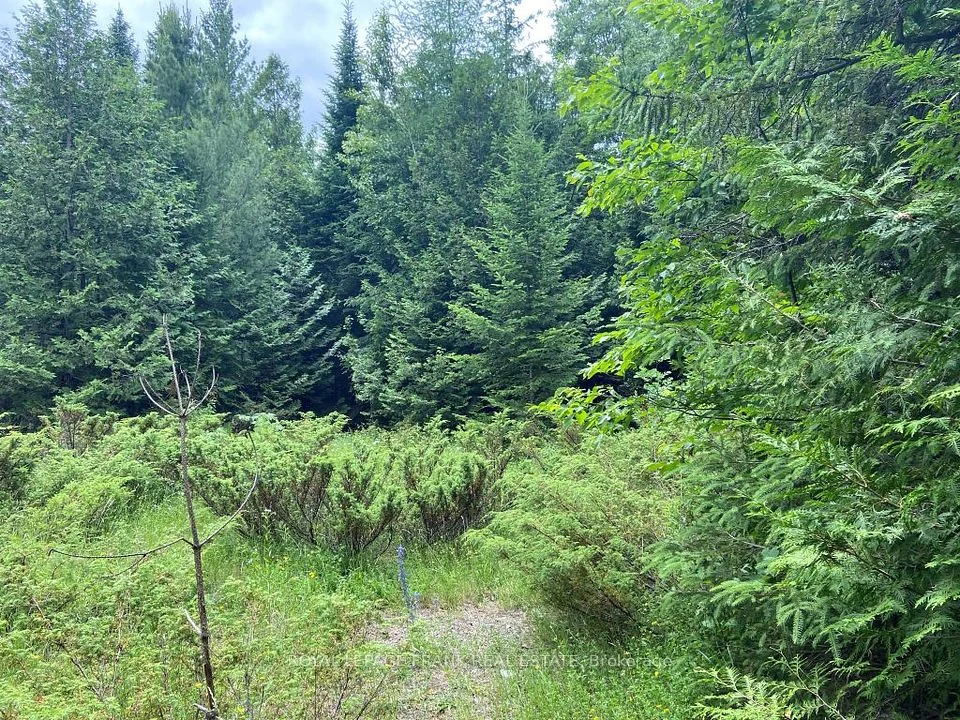 0 Barcroft Road, Trent Lakes, ON K0L 1J0