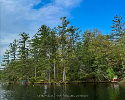 Detached in Georgian Bay