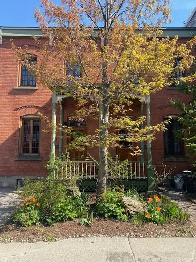Duplex in Lower Town - Sandy Hill