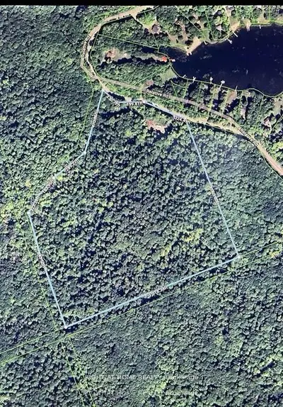 Vacant Land in Armour