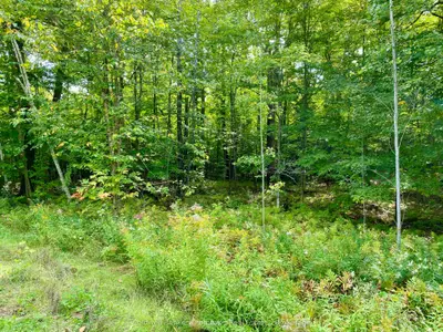 0 Brown Lane, Parry Sound Remote Area, On P0h 1s0