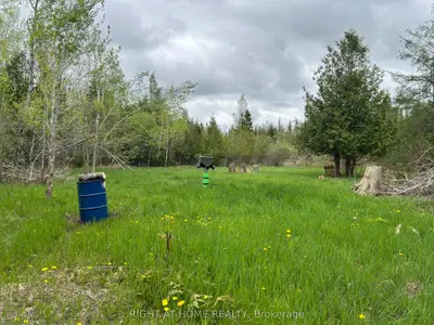 0 Mount Horeb Road, Kawartha Lakes, On K0l 2k0