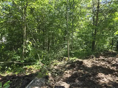 Vacant Land in Highlands East