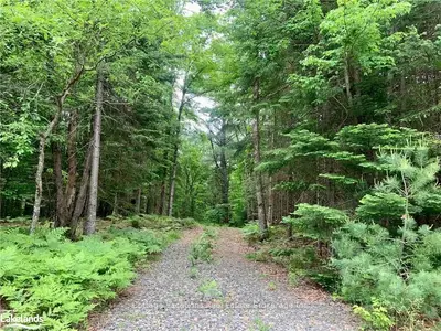Vacant Land in Huntsville