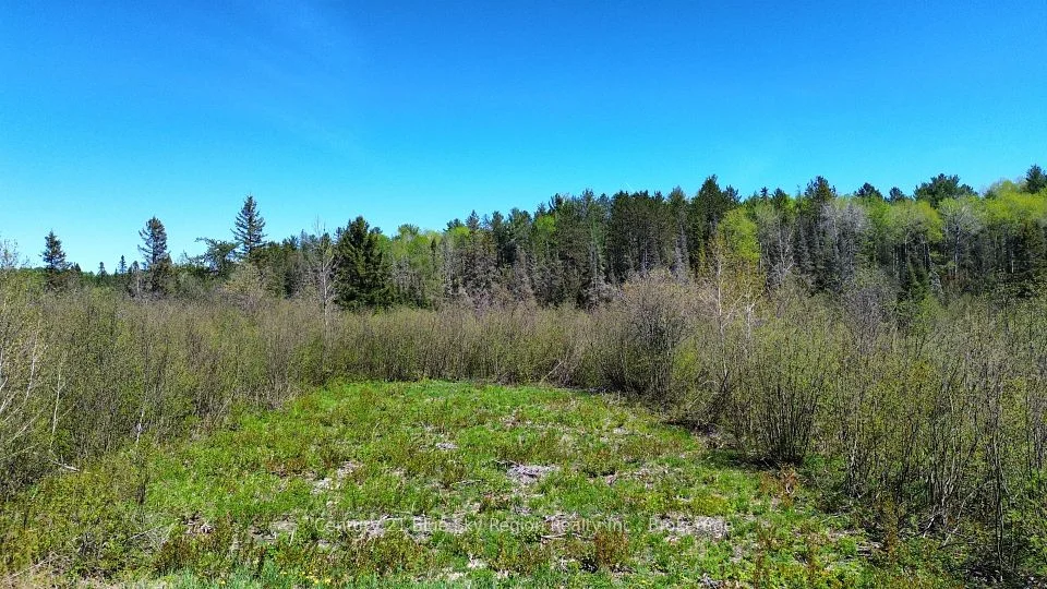 114 De La Montee Road, West Nipissing, On P0h 1m0