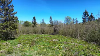 Vacant Land in West Nipissing