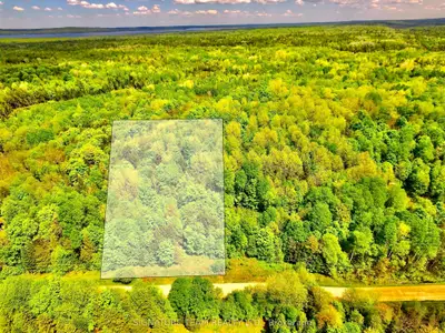 Vacant Land in Killaloe, Hagarty and Richards