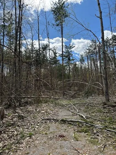 Vacant Land in Trent Lakes