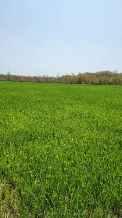 Rural Residential in Fort Erie