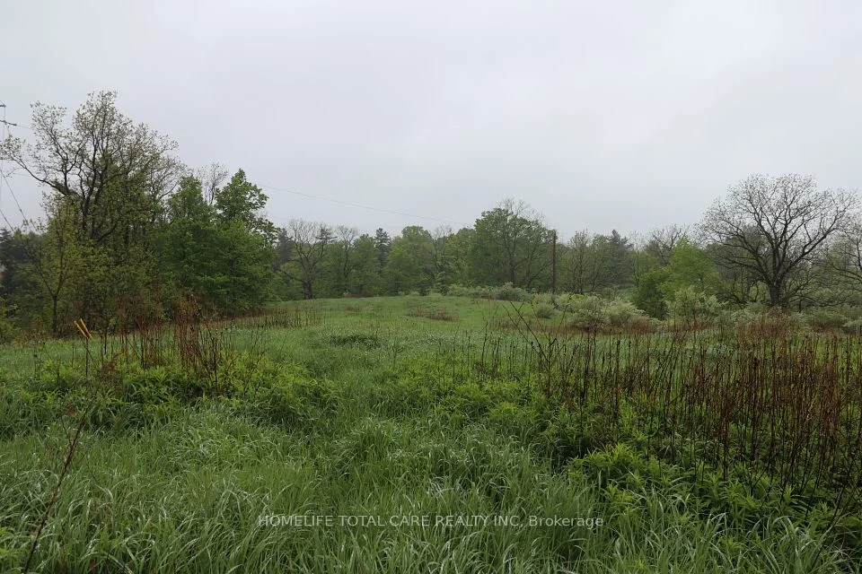 55248 Calton Line, Bayham, ON N0J 1Z0