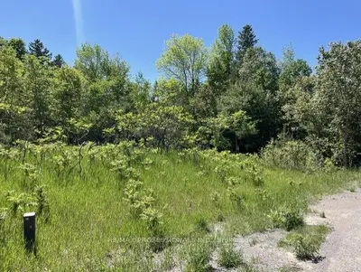 Vacant Land in Trent Hills