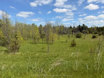 Vacant Land in Trent Hills