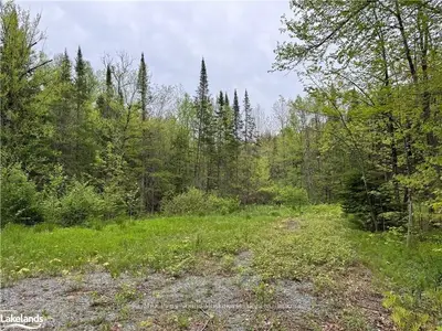 Vacant Land in Seguin
