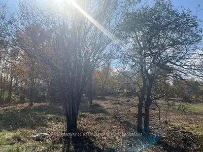 Vacant Land in Kingston