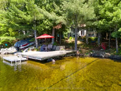 Detached in Lake of Bays