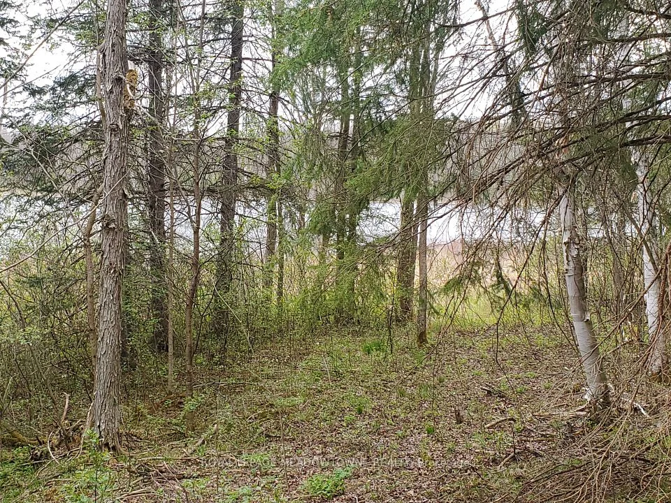 000 Clear Lake Road, Parry Sound Remote Area, ON P0H 1A0