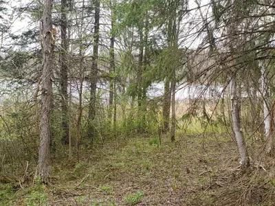 Vacant Land in Parry Sound Remote Area
