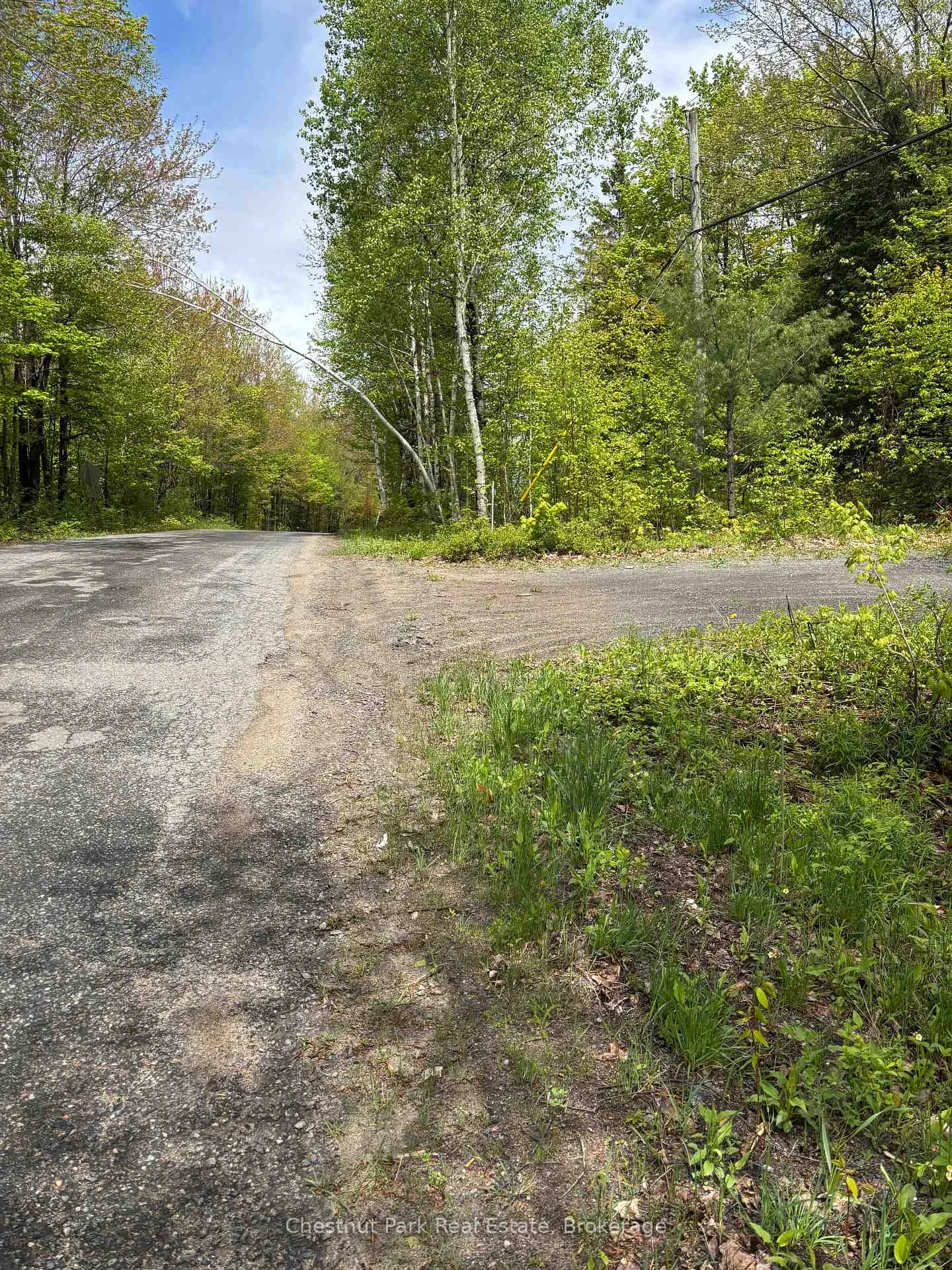 1498 Lone Pine Drive, Bracebridge, ON P1L 1X4