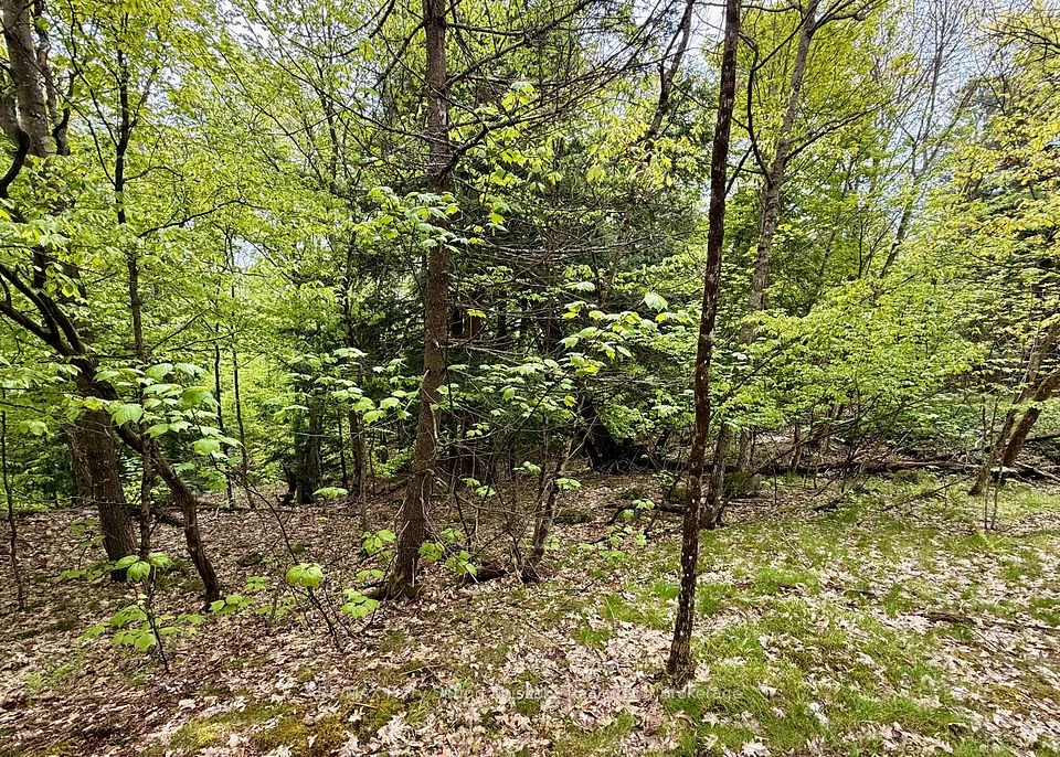 13 Harrison Landing Road, Carling, ON P0G 1G0