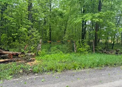 Vacant Land in Trent Hills
