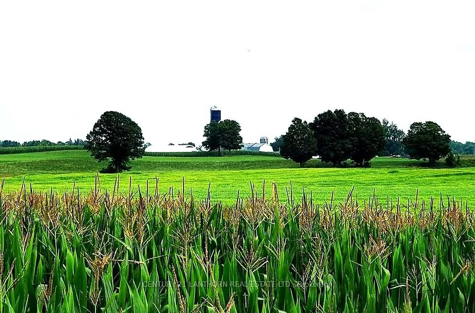 173 (B) Card Road, Stone Mills, ON K0K 3N0